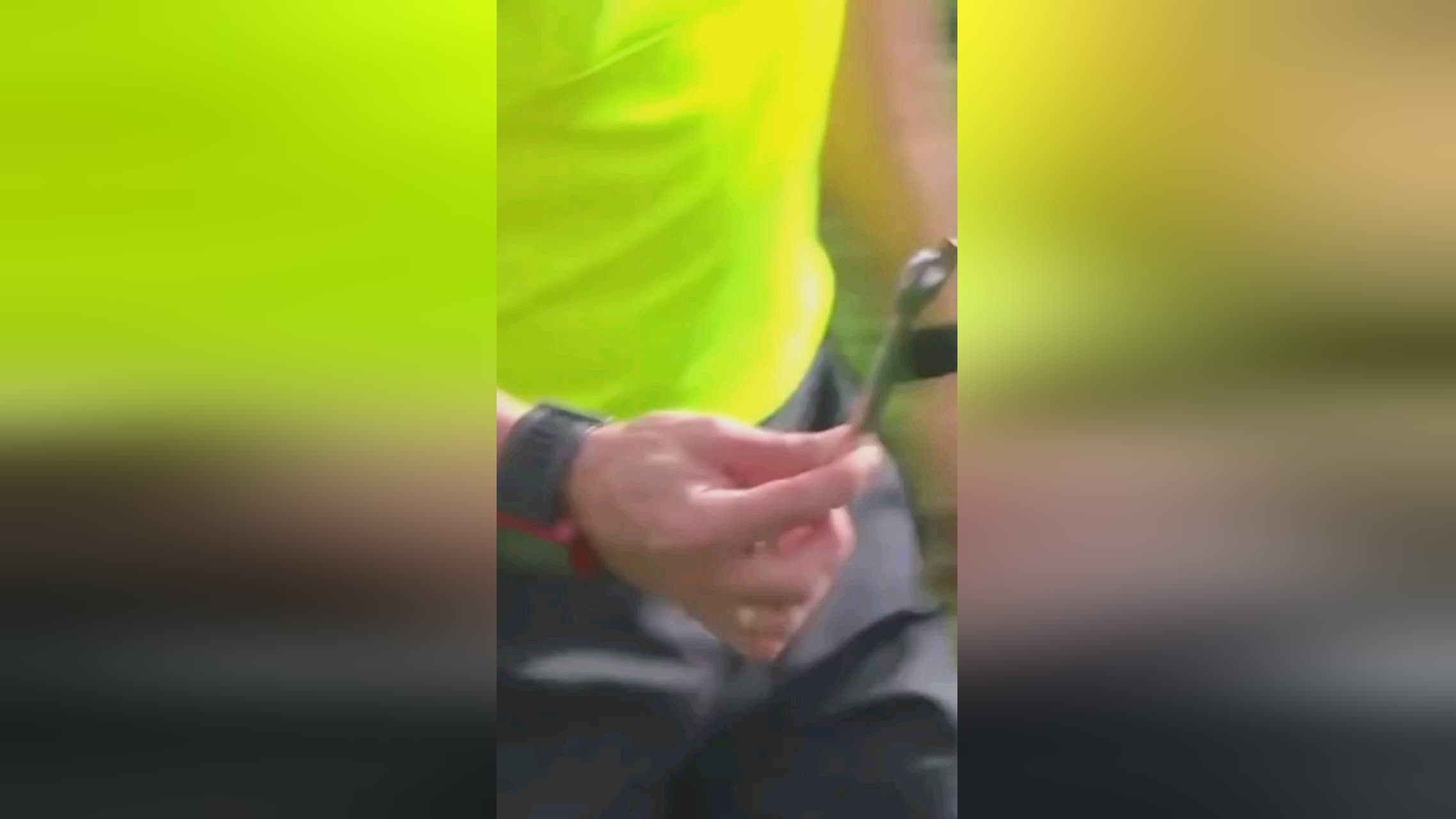 参与赛事